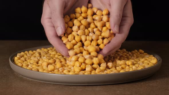 Grains of raw chickpeas are poured into bowl with their hands. Falling chickpeas from hands