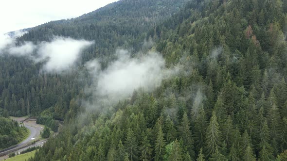 Aerial View of the Carpathian Mountains in Autumn. Ukraine