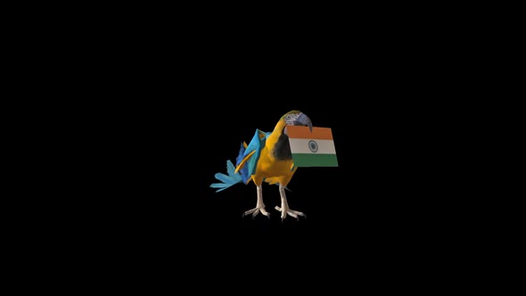 Parrot Carrying Flag- India