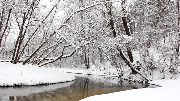 Incredibly beautiful winter nature. Wonderful winter forest. River in the winter forest