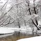 Incredibly beautiful winter nature. Wonderful winter forest. River in the winter forest - VideoHive Item for Sale