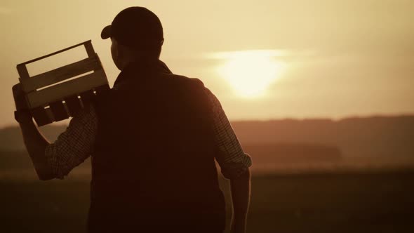 Silhouette Young Farmer Going on the Field at Sunset with Wooden Box with Fresh Vegetables. Healthy