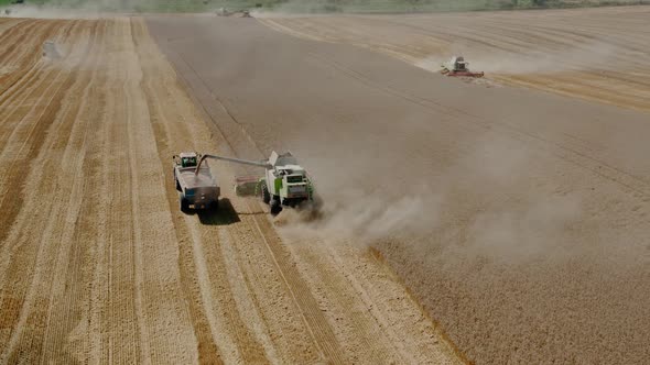 Aerial Drone Top View Harvesting Machine Cutting Down Ripe Wheat Crop Ready To Be Transported and alt