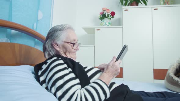 Woman with Grey Hair Scrolls Through Social Media Near Cat