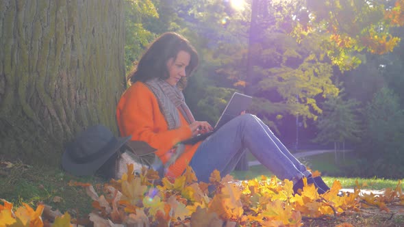 Woman Working with Laptop in Autumn Park, Beautiful Fall in City