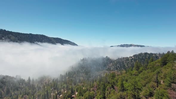 Aerial drone shot of dense fog between forested mountains on a sunny day in California, USA