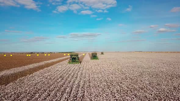 Tractor harvester cotton pickers collecting rows of bolls - aerial flyover