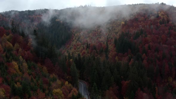 Winding road leading into misty, moody autumn forest, drone crane shot, Romania