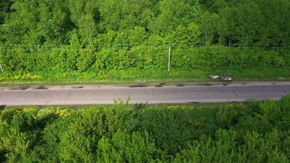 Cart With Horse By The Road