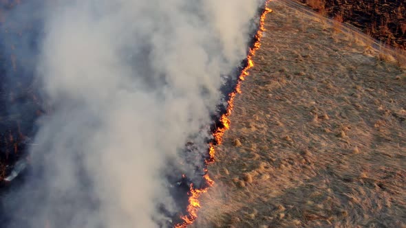 Aerial Top View of a Grass Fire