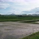 Bali rice field terraces on Mount Agung volcano mountainside, north of island - VideoHive Item for Sale
