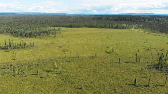 4K Drone Video of Summer Wilderness Forest near Fairbanks, Alaska