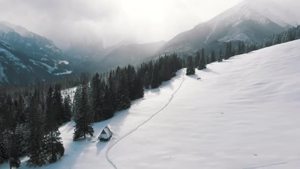 Foggy Morning Over the Mountains and Evergreen Forest Near the Wide Field Covered in Snow