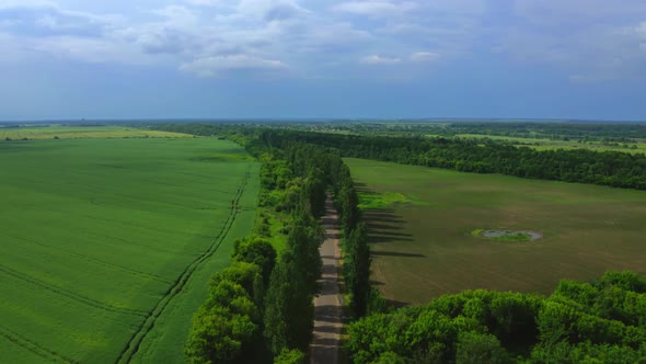 Flying On The Background Of The Road