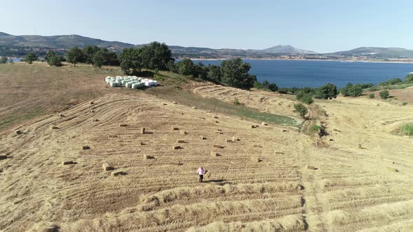 Agricultural Machinery In The Field