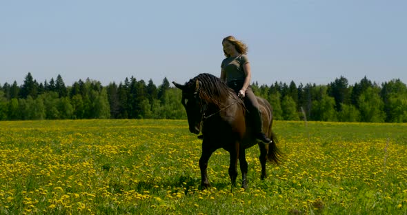 Young Lady with Loose Hair Rides Black Horse on Flower Field