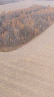 Vertical Video Empty Plowed Field in Autumn Aerial View