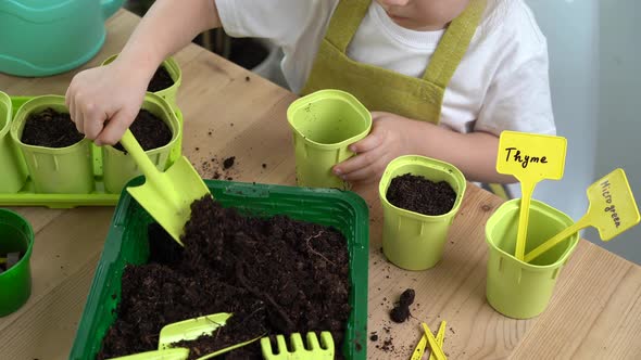 a Little Blonde Girl is Engaged in Planting Seeds for Seedlings Pouring Earth Into Pots for Growing