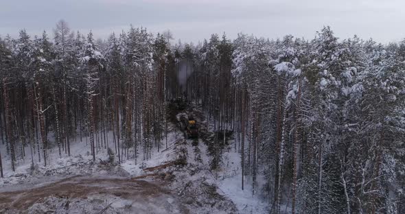 Aerial view of Forest Forwarder stacks tree logs in the winter forest 33