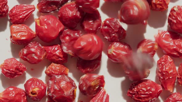 Rosa Canina or Rubiginosa Berries Footage