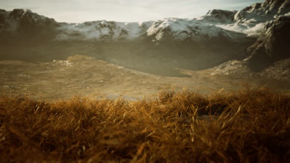 Dry Grass and Snow Covered Mountains in Alaska