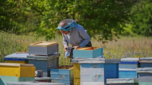 Apiculturist on a bee farm.