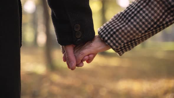 Aged Couple Walking Hand in Hand to Sun in Nature