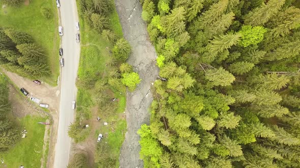 Aerial view of green pine forest with canopies of spruce trees in summer mountains.