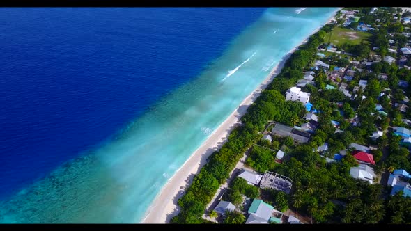 Aerial drone shot abstract of marine shore beach wildlife by aqua blue ocean with white sandy backgr