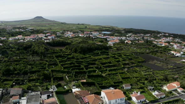 Aerial view of agricultural fields along the coastline near Biscoitos, Azores archipelago, Portugal.