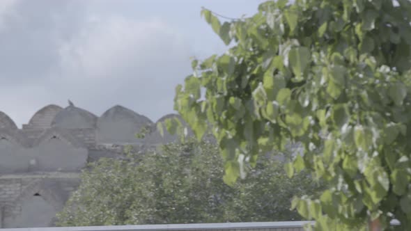 Historical Old City of Bukhara. Tombs.