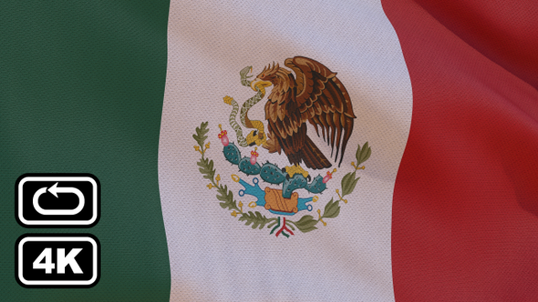 Mexico Flag