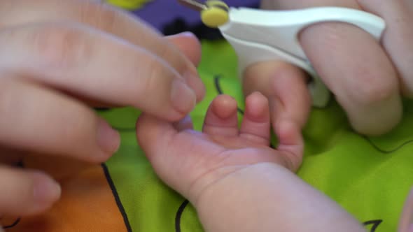 a Newborn Child Cut Nails on the Hand with Small Scissors