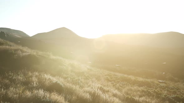 Sunset Over the Valley Fields