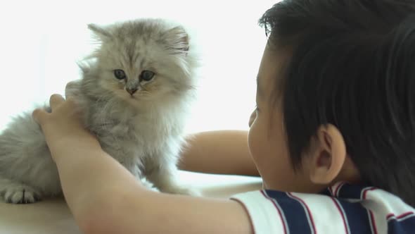 Asian child playing with kitten on sofa at home 