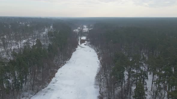 Forest And Frozen River