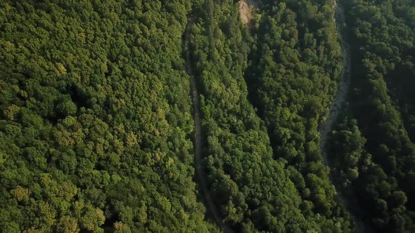 Aerial Top View of Caucasian Mountain Forest, Texture of Forest View From Above.