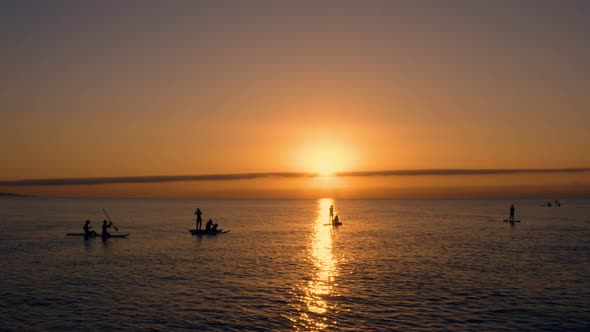 Silhouette of People Training Stand up Paddle at Sunrise