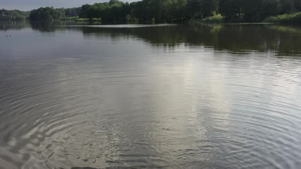 Woman swimming in a lake