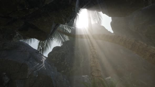 Big Palms in Stone Cave with Rays of Sunlight