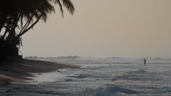 Tropical Shore By Waving Ocean Near Dark Palms Silhouette