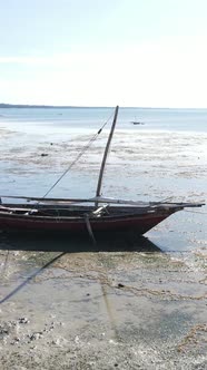 Tanzania  Vertical Video of Low Tide in the Ocean Near the Coast of Zanzibar Slow Motion