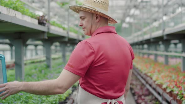 Back View of Happy Adult Man in Straw Hat Walking in Greenhouse. Positive Caucasian Male Employee