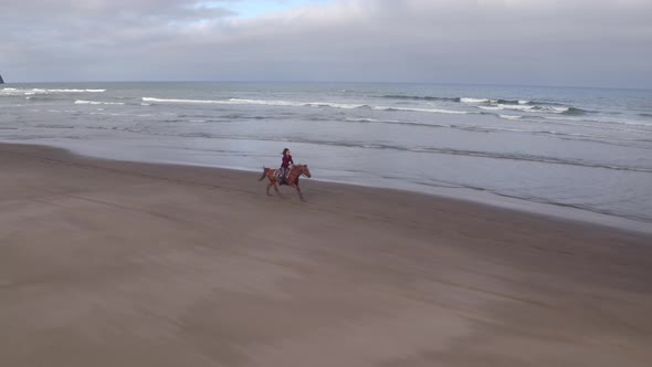 Aerial view of women riding horses at beach