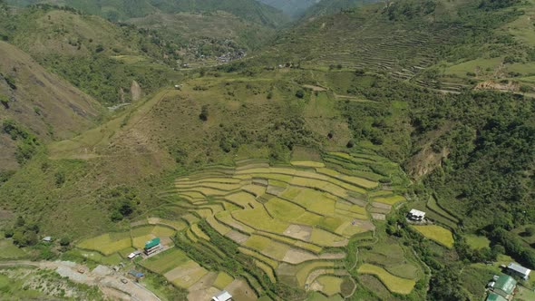 Rice Terraces Mountains