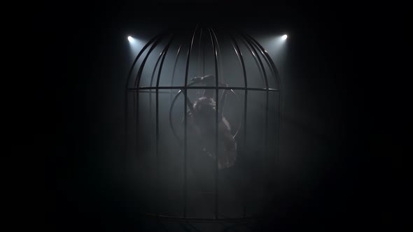 Girl on a Scene in a Cage Performs on a Hoop in a Bird Costume. Black Background. Silhouette