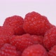 Close Up Of Raspberries Rotating - VideoHive Item for Sale