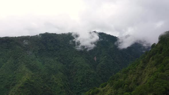 Rainforest on Top of the Mountain. Rain Clouds in the Highlands