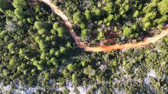 Mountain road in the forest aerial view 4 K