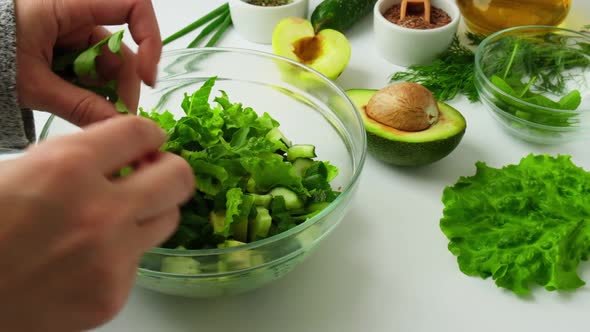 Woman Cooking Salad of Fresh Green Vegetables and Herbs